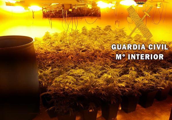 La Guardia Civil localiza una plantación 'In Door' a menos de 100 metros de una guardería en Roquetas