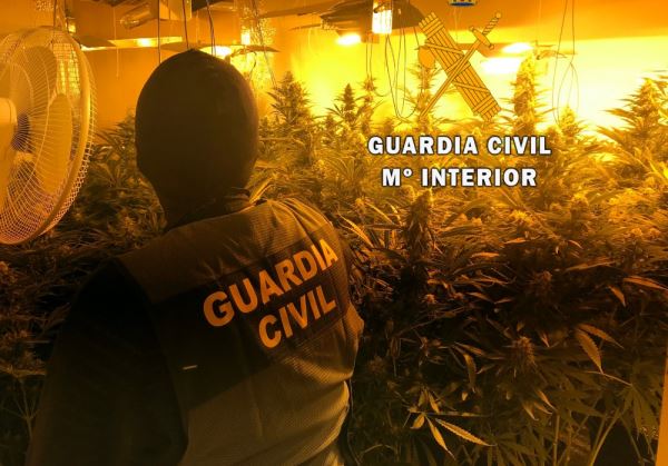 La Guardia Civil localiza una plantación de marihuana en una vivienda ocupada de Roquetas de Mar