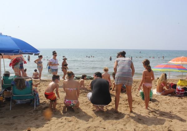 Juegos y charlas de concienciación sobre la Tortuga Caretta en las playas de San Juan de los Terreros