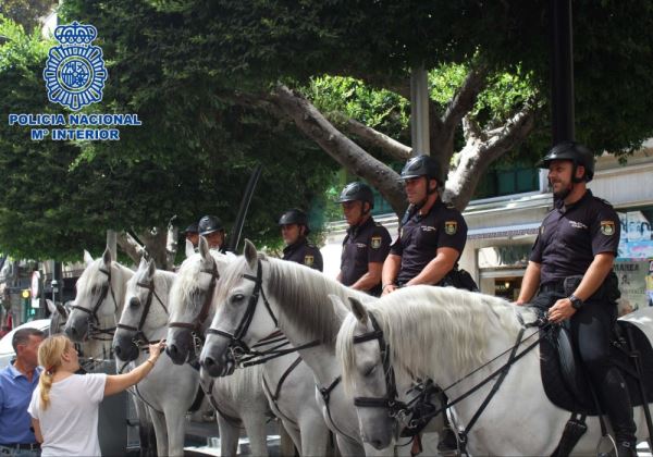 36 personas detenidas y 236 sancionadas, balance de la Policía Nacional en la Feria de Almería
