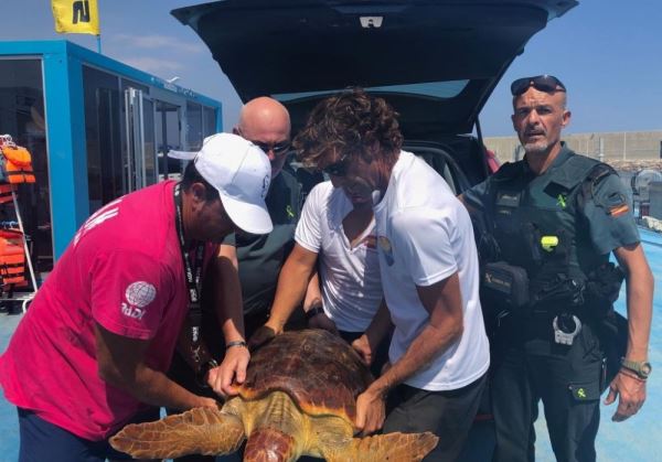 La Guardia Civil auxilia una tortuga boba en Garrucha