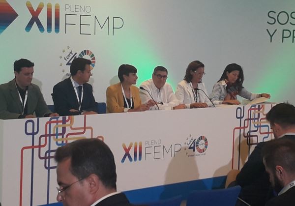 El presidente de la Diputación defiende las estrategias de sostenibilidad y promoción de los municipios en el Pleno de la FEMP