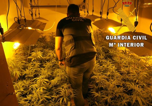 La Guardia Civil de Almería detiene a dos personas y localiza 295 plantas de marihuana