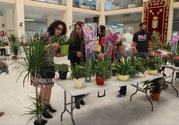 El Taller de Jardinería de Salud Mental de El Ejido da color al Patio de Luces del Ayuntamiento