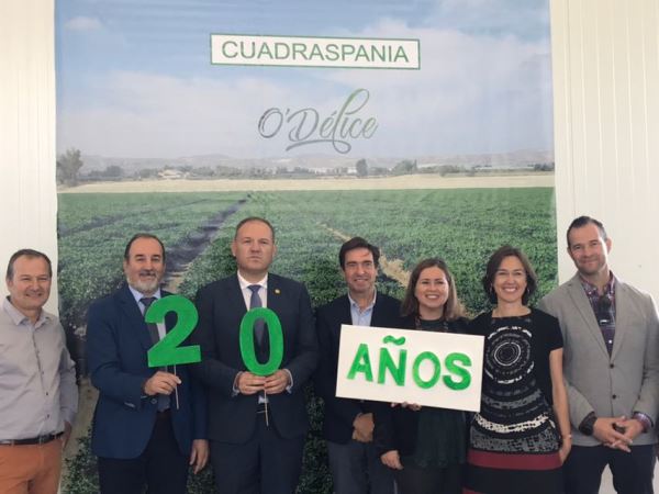 La empresa Cuadraspania SL tiene una superficie productiva de escarola de más de 500 has