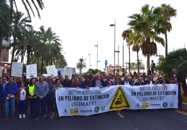 Cerca de 20.000 personas participan en una masiva manifestación en Almería en defensa del sector agrario