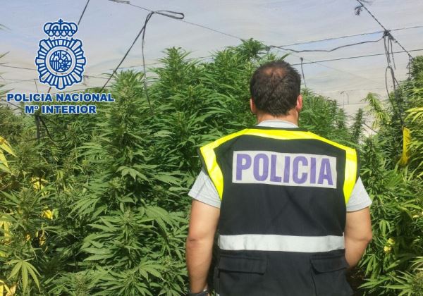 La Policía Nacional detuvo a 244 personas en Almería por delitos con el tráfico de drogas