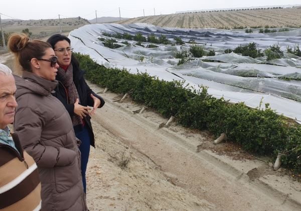 Cs lleva al Congreso una Proposición No de Ley para exigir actuaciones en las zonas afectadas por el temporal