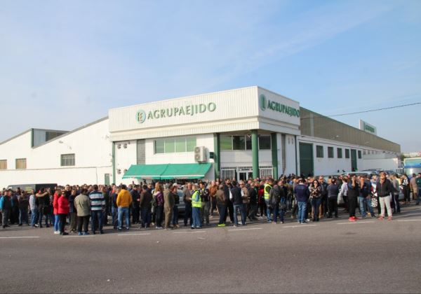 Más de medio millar de agricultores se concentran en El Ejido