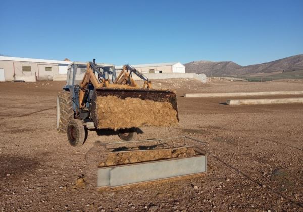 Los ganaderos, satisfechos con la calidad del ensilado de Frutilados del Poniente