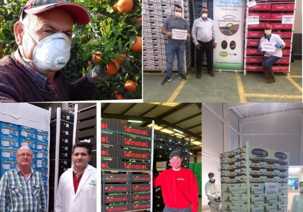 Agricultores almerienses donan fruta y hortalizas al personal sanitario de Ifema