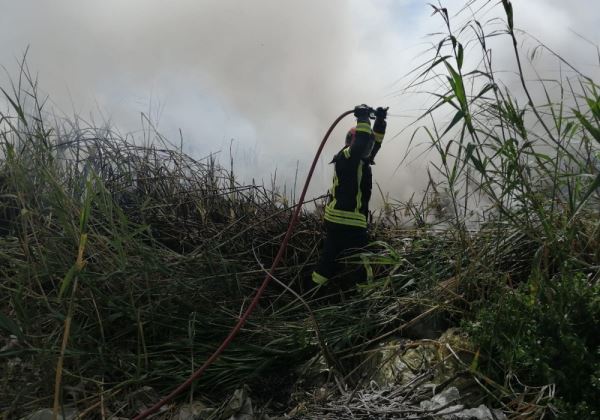 Extinguido el incendio ocurrido en la Reserva Natural de Las Albuferas de Adra