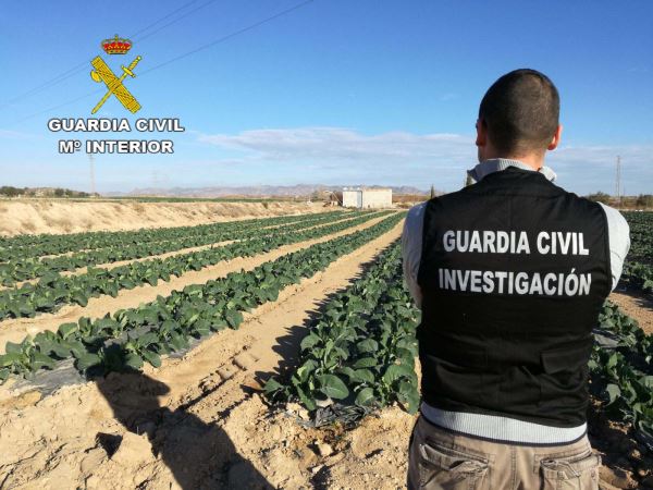 La Guardia Civil esclarece el robo en una explotación agrícola y detiene a los autores