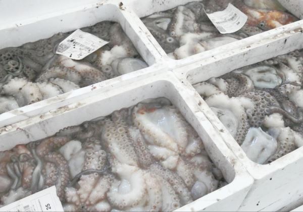 Adra lanza una campaña para fomentar el consumo de productos frescos locales