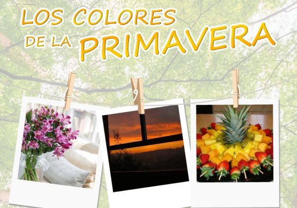 La Junta Local de Santa María del Águila lanza el concurso 'Los colores de la primavera'