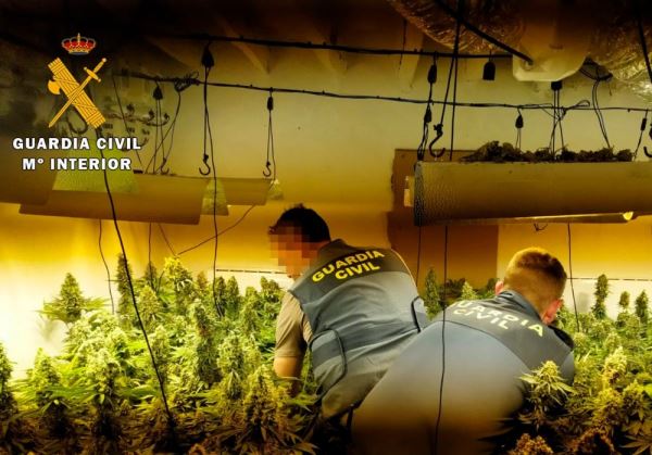Dos detenidos en Berja por cultivar marihuana