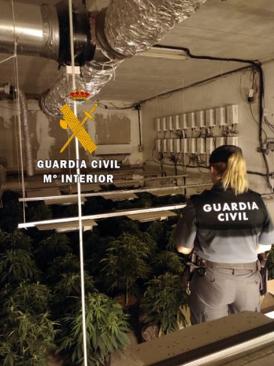 Intervenida una plantación indoor de marihuana en Roquetas