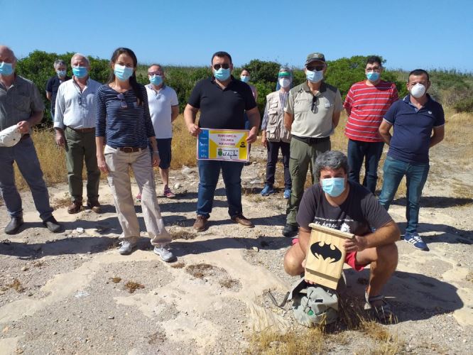 El Ejido conmemora hoy el Día Internacional del Medio Ambiente con una actividad de voluntariado ambiental