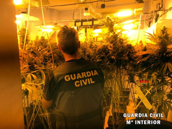 Intervenido un cultivo indoor de marihuana en Roquetas de Mar