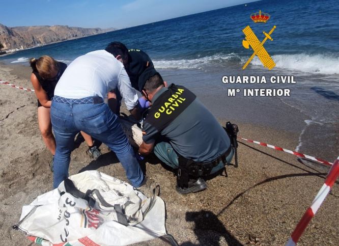 La Guardia Civil y Equinac rescatan un delfín varado en Aguadulce