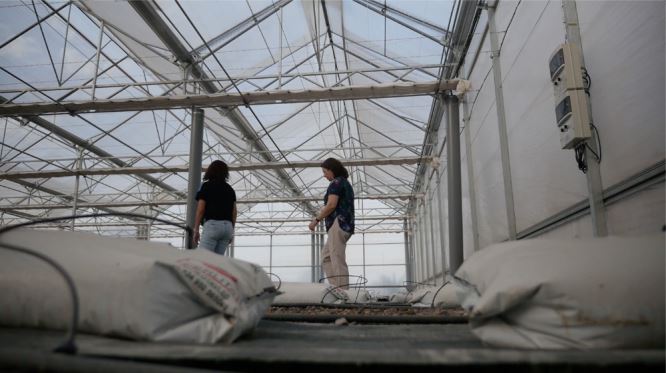 Hierros Quijano recibe 422.000 euros para la construcción de una fábrica de alambre
