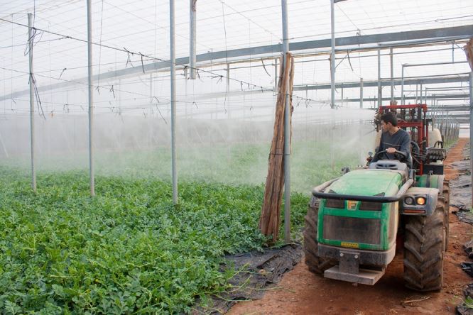 Berja informa a los agricultores locales sobre el Plan renove de maquinaria agrícola