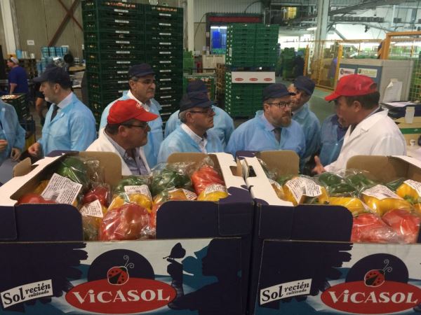 Vicasol cuenta con 2000 hectáreas de cultivo y una facturación de 240 millones