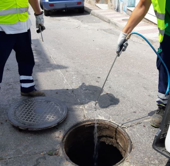 Avanza el plan de desinsectación de la red de alcantarillado de Adra