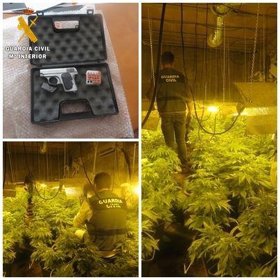 Dos detenidos y dos investigados en Nijar por cultivo de marihuana y tenencia de armas