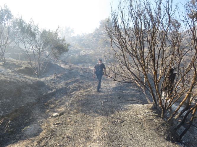 Localizado el presunto responsable del incendio de Sierra Cabrera