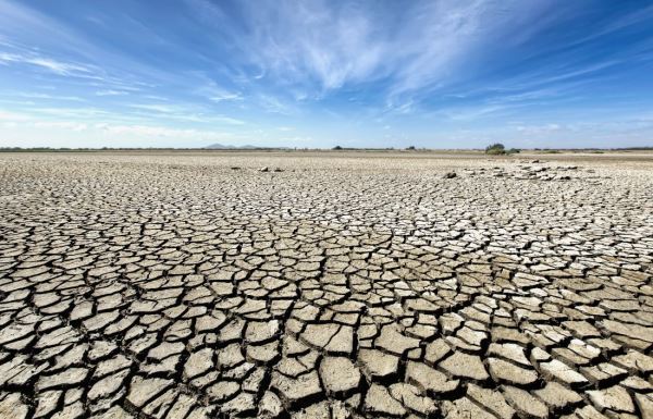 Asaja se muestra preocupada ante los decretos de sequía y pide soluciones urgentes