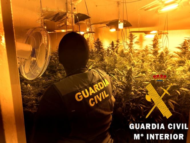 La Guardia Civil localiza una plantación de marihuana en Roquetas