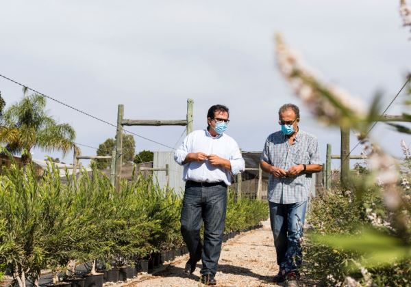 El 'Plan Savia' embellecerá la provincia con 60.000 plantas