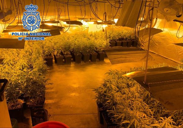 La Policia Nacional desmantela dos plantaciones de marihuana