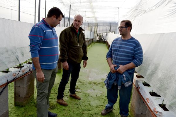 Invernaderos de Matagorda peligran por la subida del nivel del acuífero superior