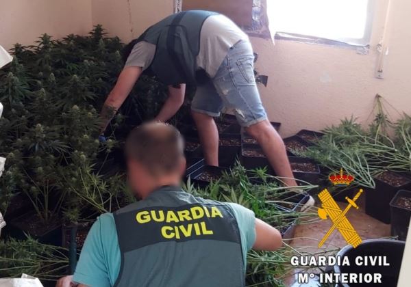 La Guardia Civil interviene un cultivo de marihuana durante la extinción de un incendio en una vivienda de Roquetas
