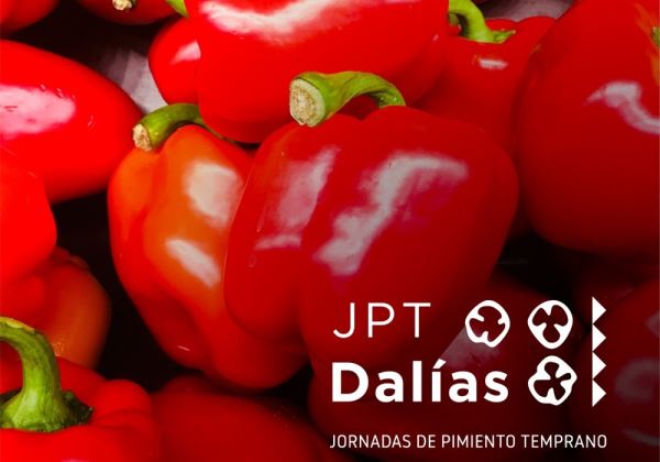 Dalías aplaza sus Jornadas del Pimiento Temprano