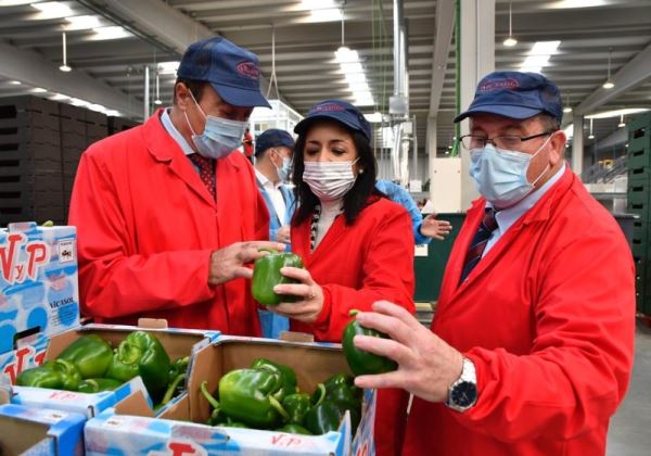 La presidenta del Parlamento andaluz visita las instalaciones de Vicasol