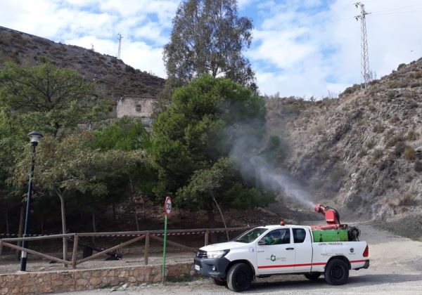 Adra realiza trabajos de prevención contra la procesionaria