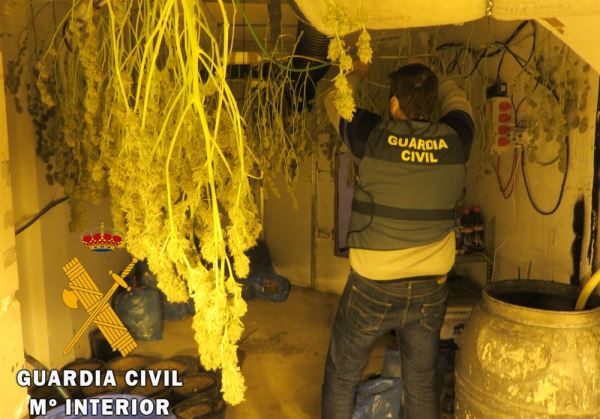 La Guardia Civil localiza una plantación Indoor de marihuana y detiene al responsable en Benahadux