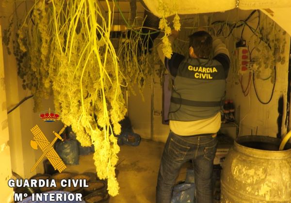 La Guardia Civil localiza una plantación Indoor de marihuana y detiene al responsable en Benahadux
