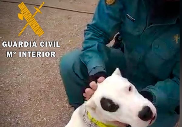 LA GUARDIA CIVIL INVESTIGA EN NIJAR A UNA PERSONA COMO AUTOR DE LOS DELITOS DE MALTRATO ANIMAL E INTRUSISMO PROFESIONAL