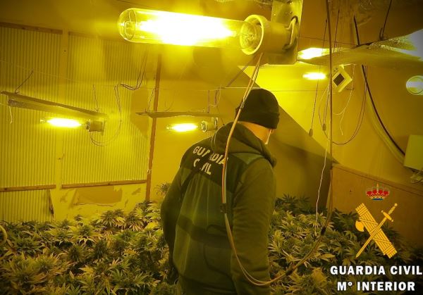 La Guardia Civil detiene a tres personas e investiga a otra por cultivar marihuana en sus domicilios en presencia de sus hijos menores