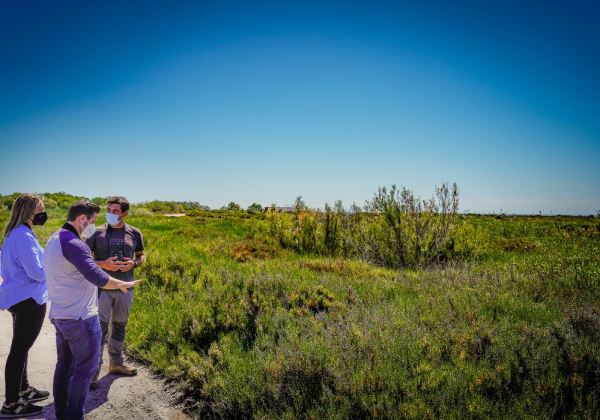 Jornada de trabajo y educación ambiental para la protección de las aves que anidan en la Ribera de la Algaida