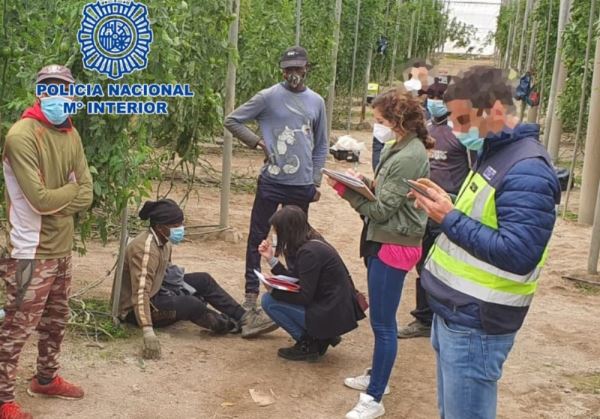 La Policía Nacional detiene en Vícar al dueño de un invernadero, quien acosó laboral y sexualmente a una de sus empleadas