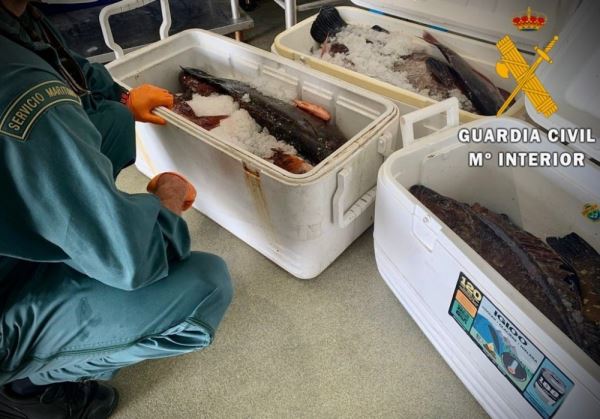 LA GUARDIA CIVIL REALIZA DOS ACTUACIONES EN MATERIA DE SANIDAD POR INFRACCIONES A LA NORMATIVA DE PESCA Y DISTRIBUCION DE ALIMENTOS SIN CONTROL SANITARIO