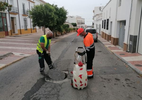 El Ayuntamiento de Dalías pone en marcha el plan de desinfección de la red de alcantarillado y el tratamiento contra plagas