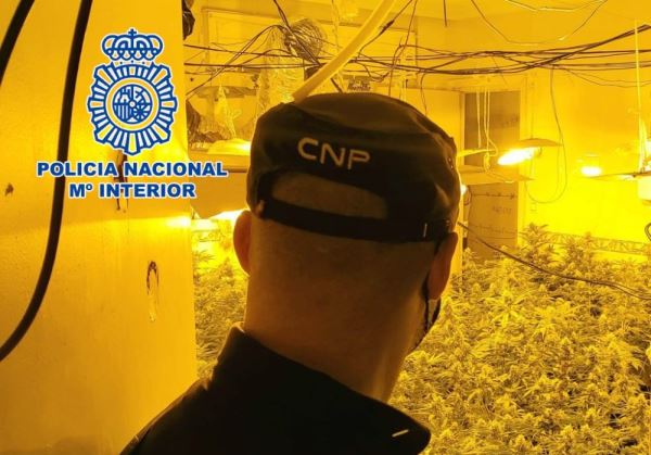 La Policía Nacional ha desmantelado un narcobloque de viviendas en el centro de El Ejido