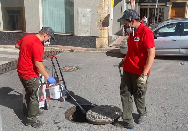 El Ayuntamiento de Berja intensifica las labores de control de plagas con la llegada del verano