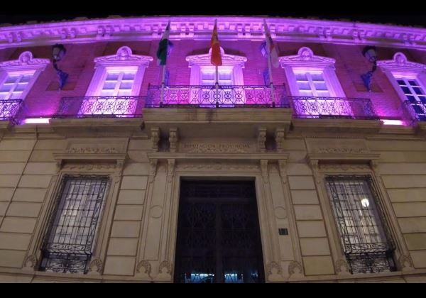  El Palacio Provincial se ha iluminado de color morado para visibilizar el Día Internacional del Síndrome de Dravet